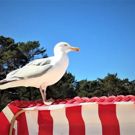 Duenenpark 093 公寓