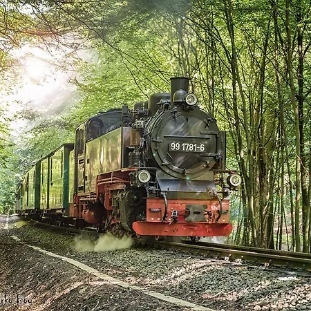 Duenenpark 093 *